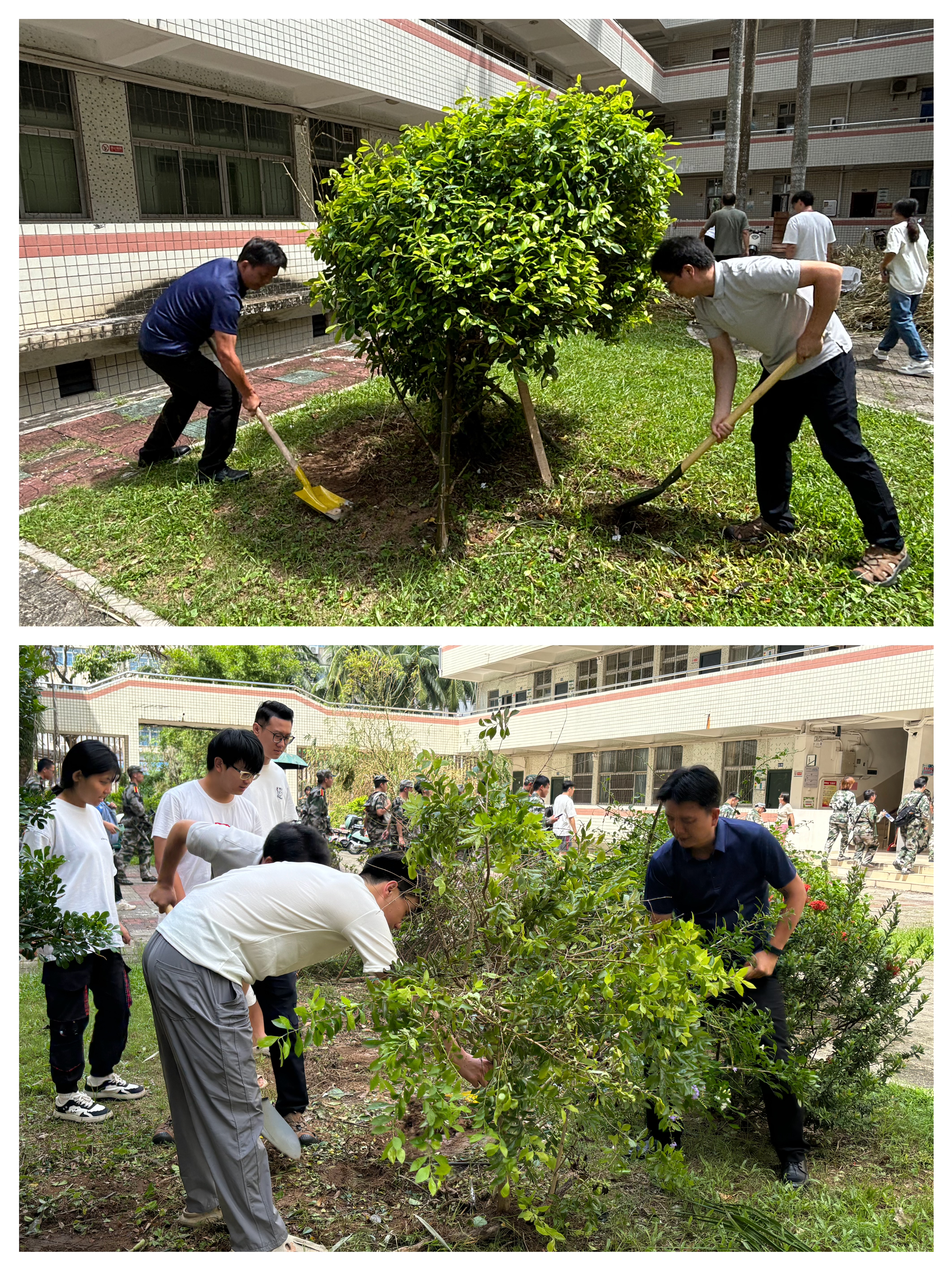 师生携手清扫校园，全力恢复教学科研秩序