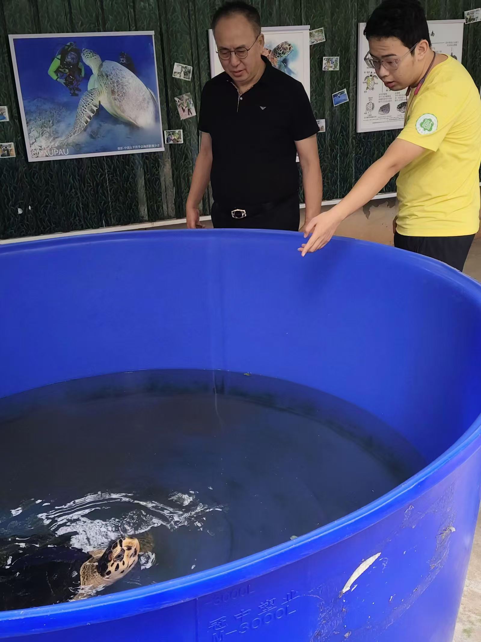 75周年校庆系列活动：海龟救助站及生物多样性科技馆迎来参观热潮