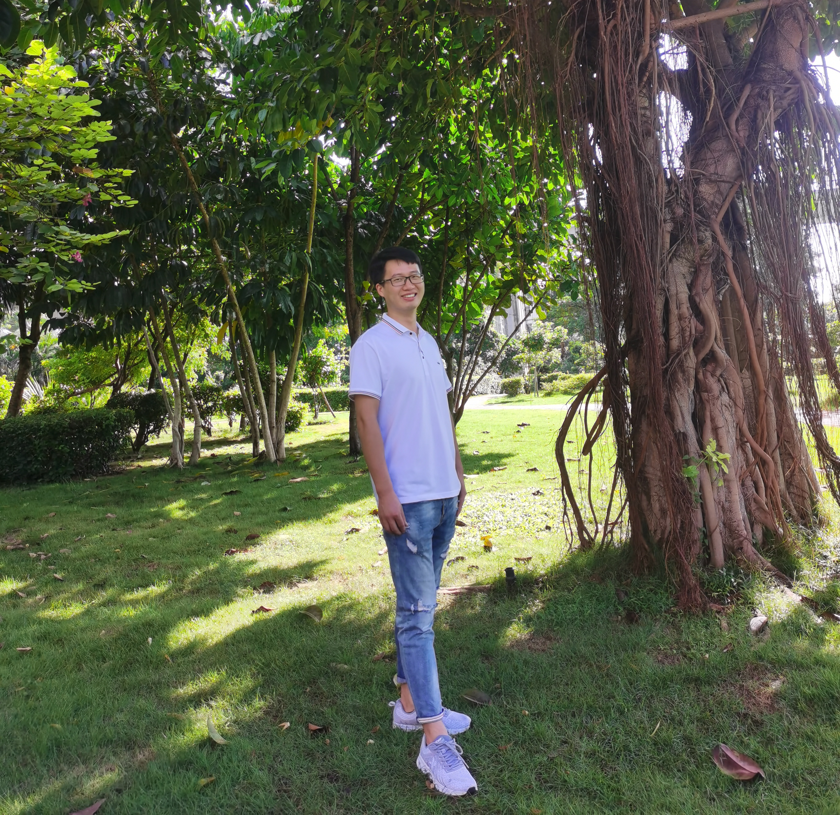 王洋洋