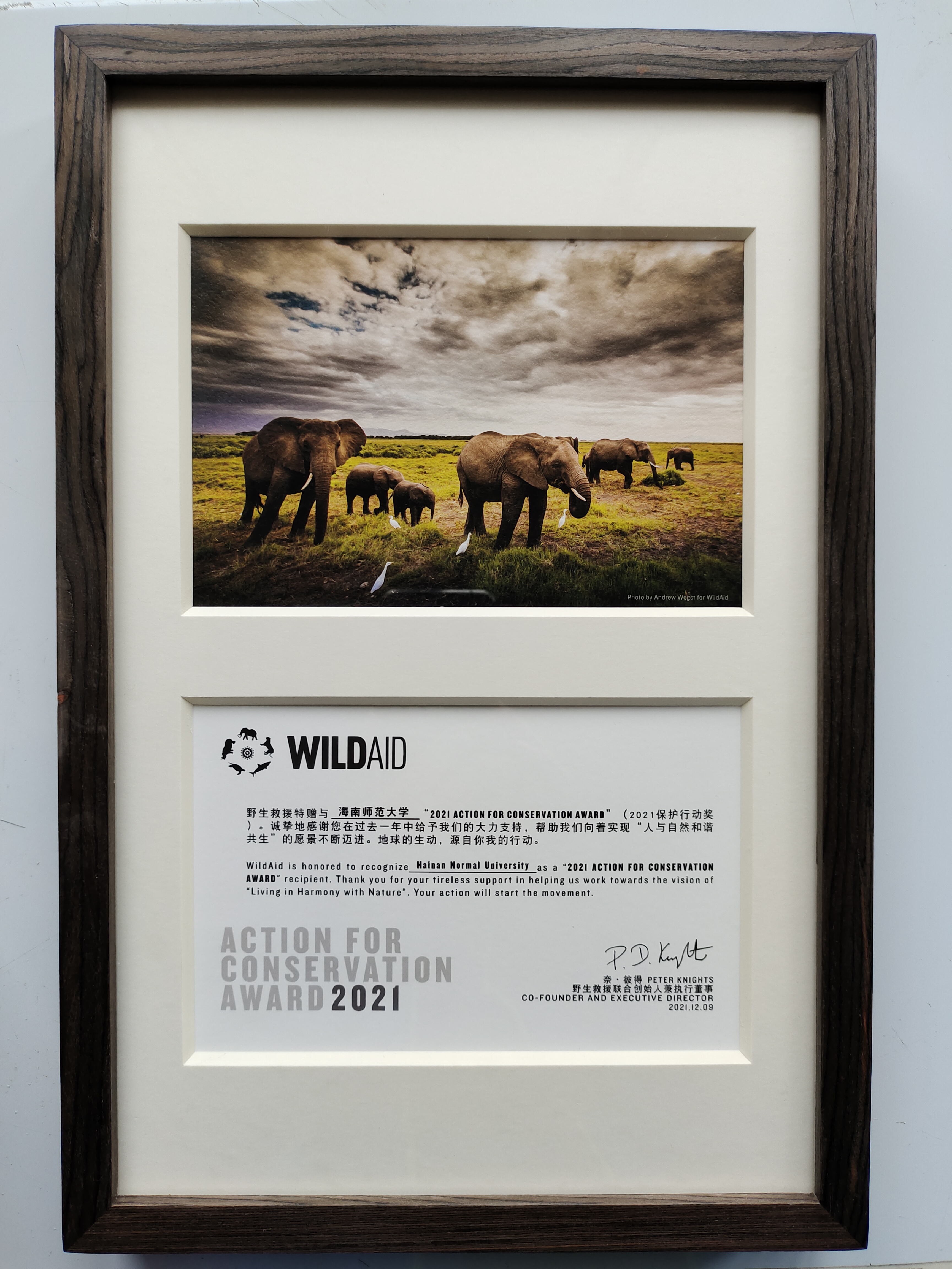 我院海龟保护工作获野生救援（WildAid）授予“2021保护行动奖”